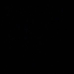 Meet your Posher, Brigitte